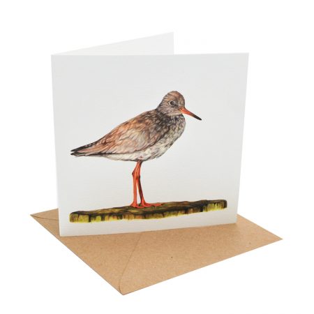 Redshank Greeting Card